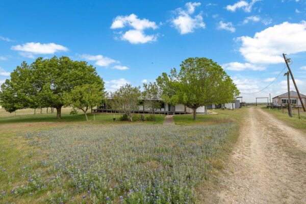 2351 County Road 487 None, Taylor