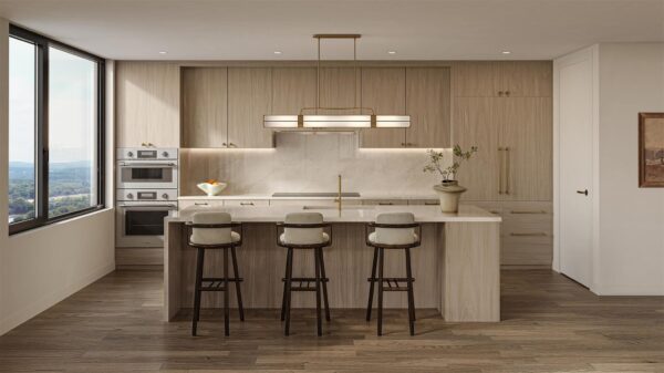 300 Pressler St #203, Austin