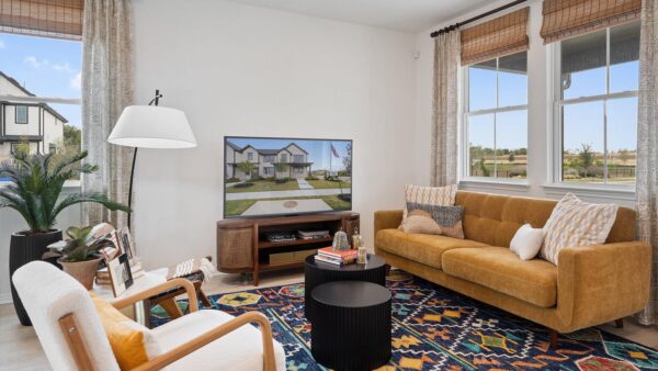 2512 Violet Theo Ln, Round Rock