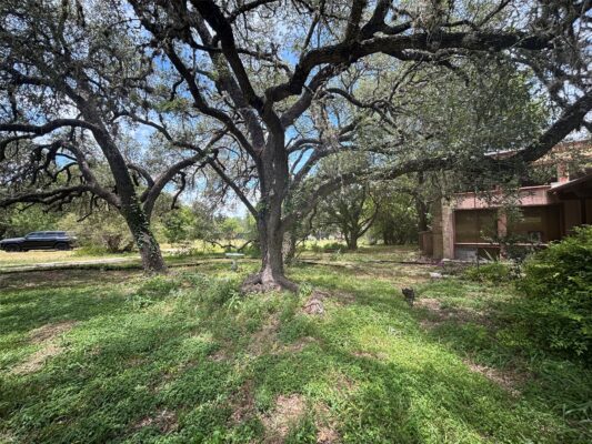 808 Indian Tree Trl, Austin