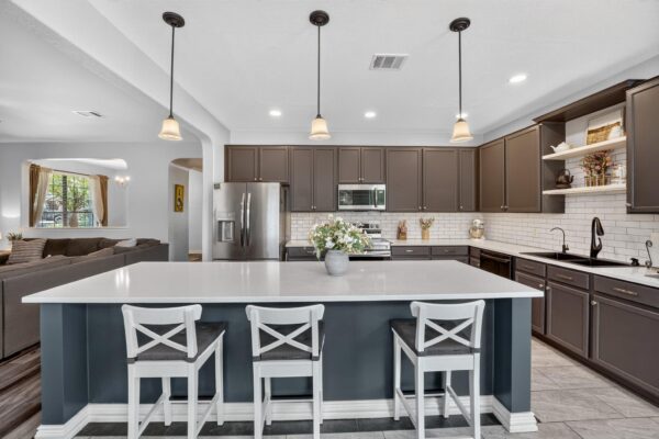 213 Silver Lace Ln, Round Rock