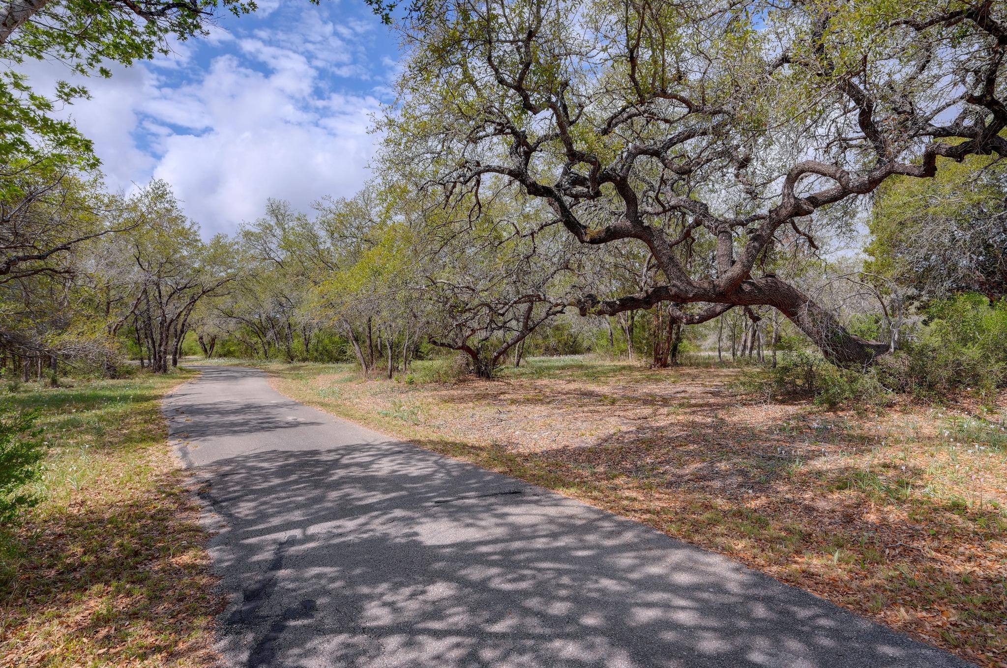 325 Crystal Meadows Dr, Kyle, TX 78640