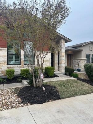 309 Jeffrey David Ln W, Austin