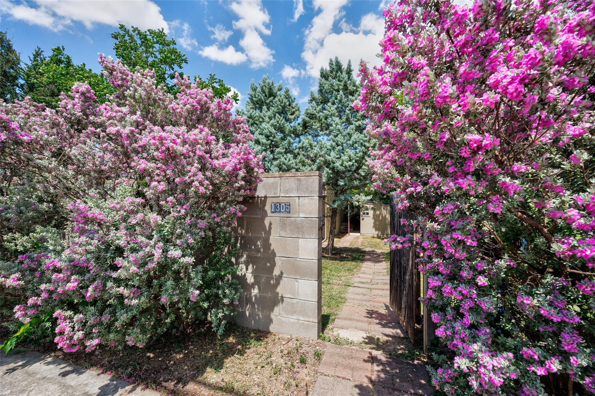 1305 Chestnut Ave, Austin, TX 78702