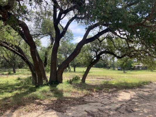 1050 Harmon Hills Rd, Dripping Springs