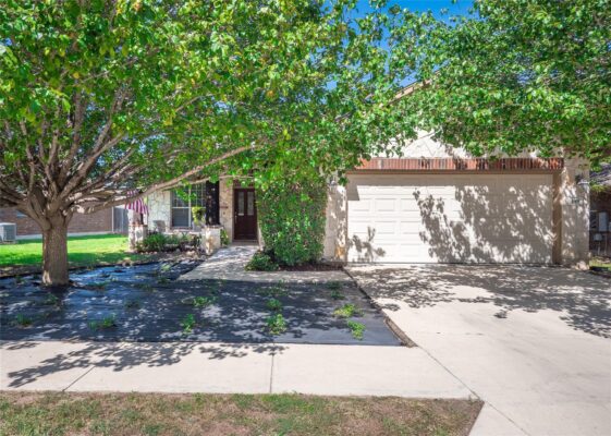 149 Blossom Valley Strm, Buda
