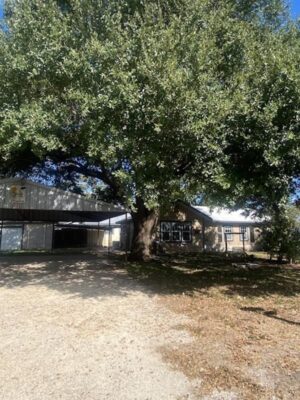 214 S Hackberry Ave, Luling