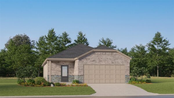 317 Rockies Rd, Hutto