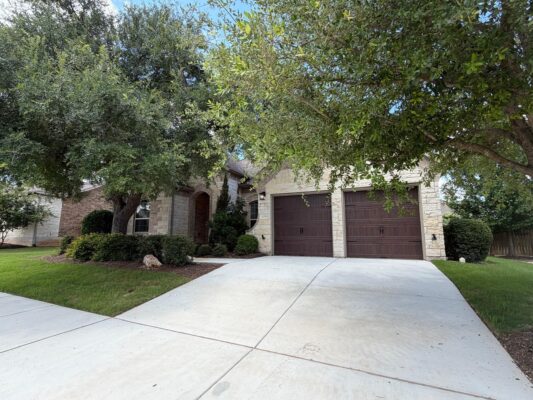1229 TERRACE VIEW Dr, Georgetown