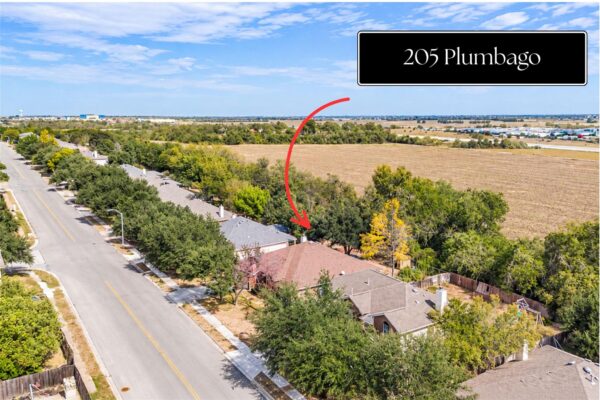 205 Plumbago Dr, Pflugerville