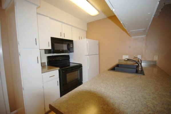 910 Duncan Ln #11, Austin