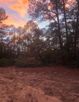 114 Fealy Rd, Red Rock