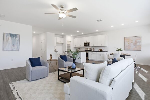 1325 Alana Falls Ave, Pflugerville