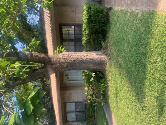1701 Madison Ave, Austin