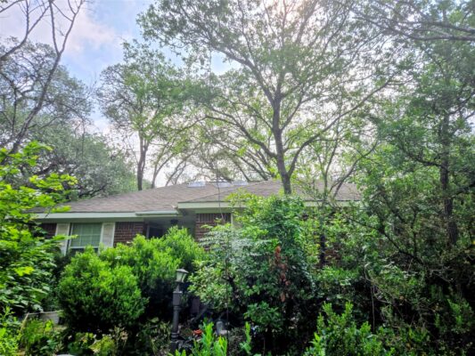 7705 Wynne Ln, Austin