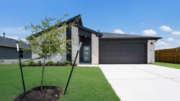 470 CAROLINA BUCKTHORN Dr, Kyle