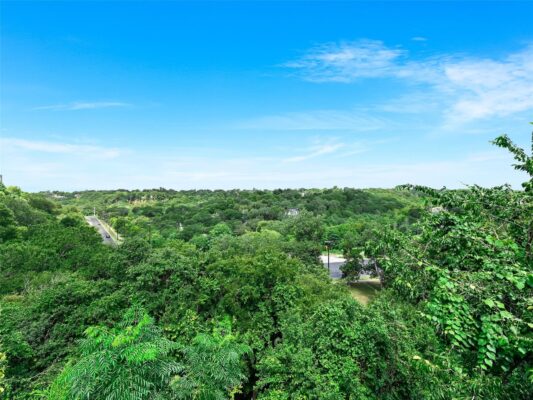 2612 San Pedro St None #223, Austin