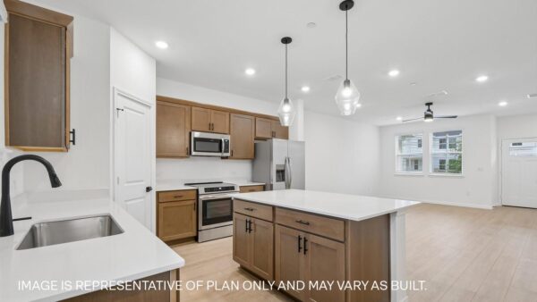 2523 Violet Theo Ln, Round Rock