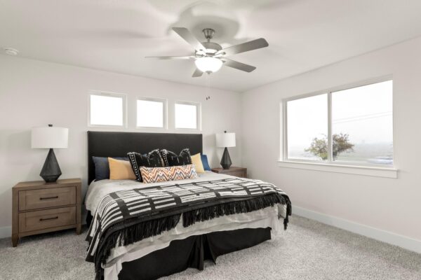 803 White Steppe Way, Georgetown
