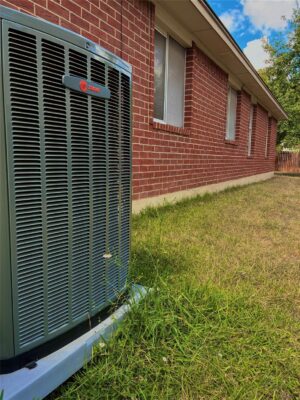 1007 Audra St, Cedar Park