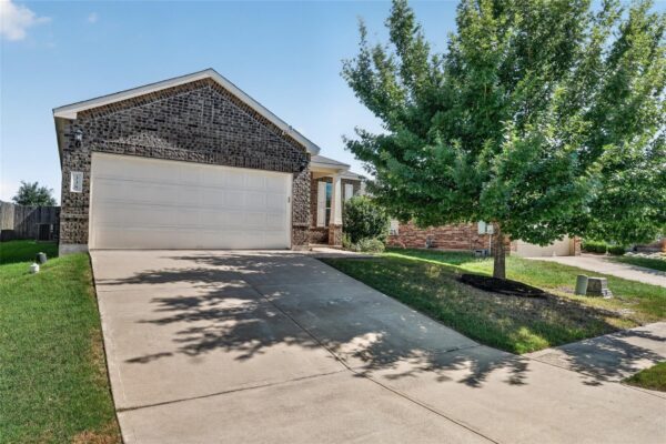 338 Pine Arbol None, Buda