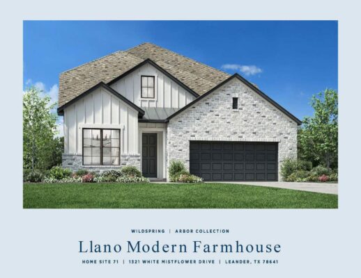 1321 White Mistflower Dr, Leander