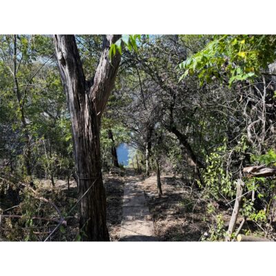 14456 Agarita Rd, Austin