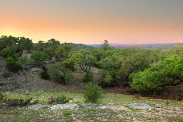 396 Waters View Ct, Dripping Springs