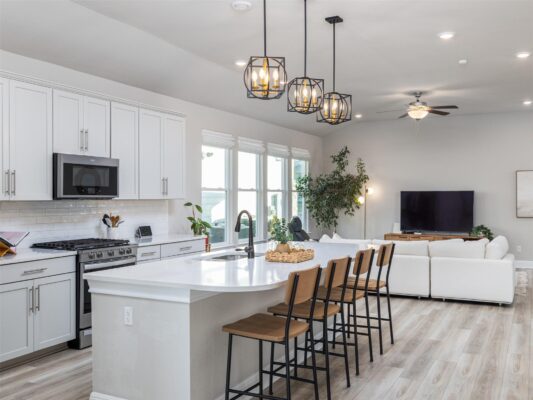 167 Victoria Peak Loop, Dripping Springs