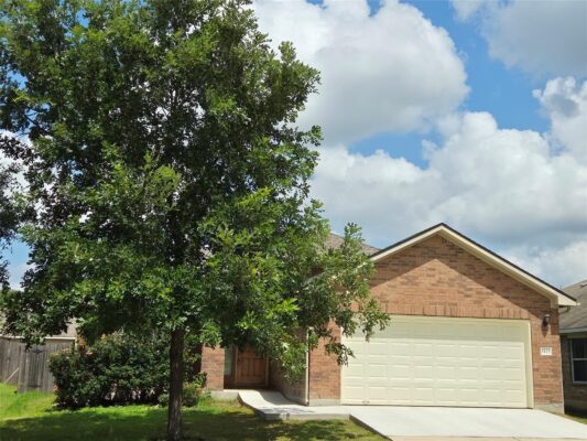 1113 Alexandria Way, Round Rock
