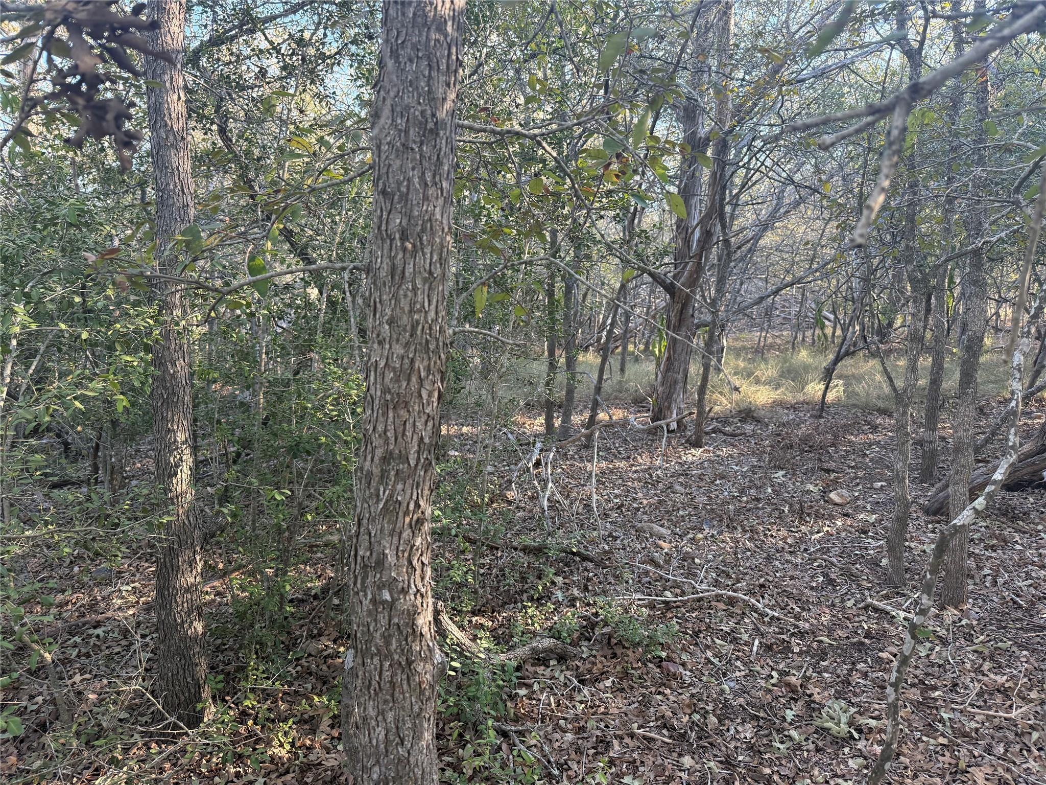 TBD Bali Hai Ln, Bastrop, TX 78602