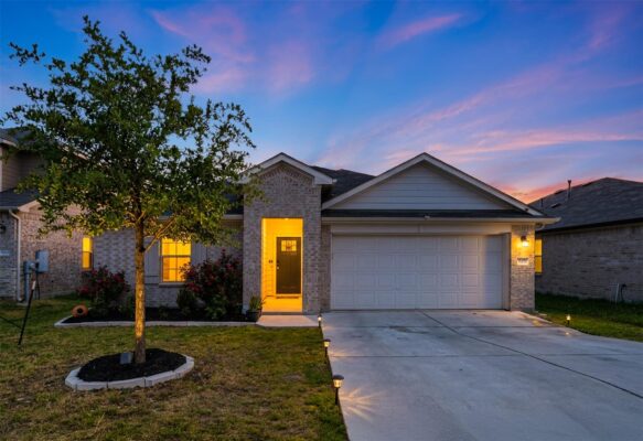 19616 Ann Richards Ave, Manor