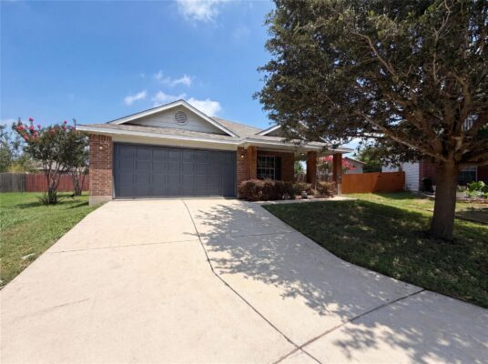 12816 Wooly Bucket Cv, Elgin