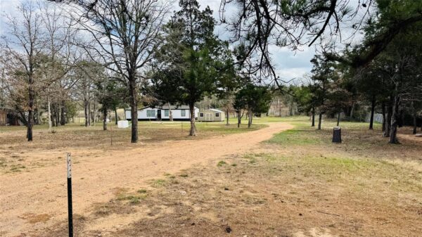 557 FM 2336 None, Bastrop