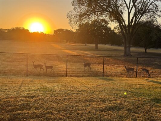 317 Home Place Ln, Salado