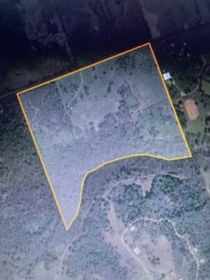 1010 County Road 490 None, Elgin