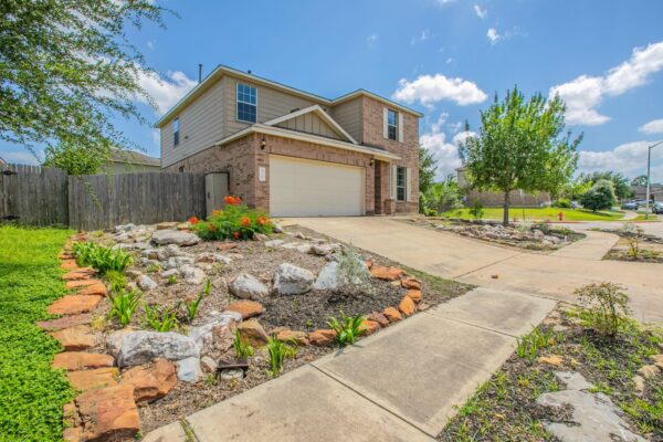 316 Pine Arbol None, Buda