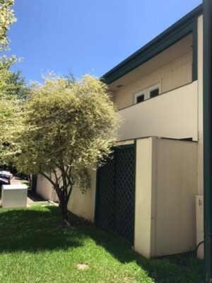 6718 Silvermine Dr #302, Austin