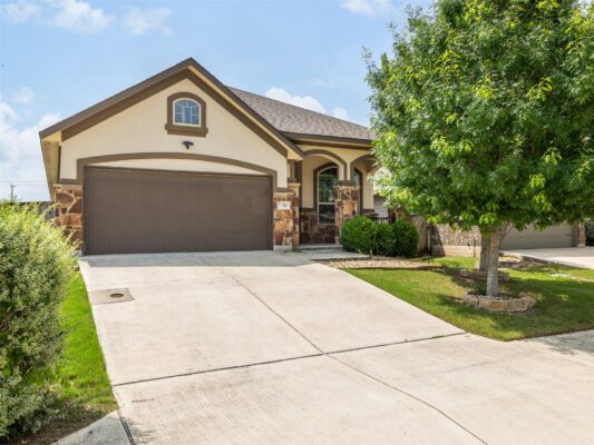 717 Blue Agave Ln, Georgetown