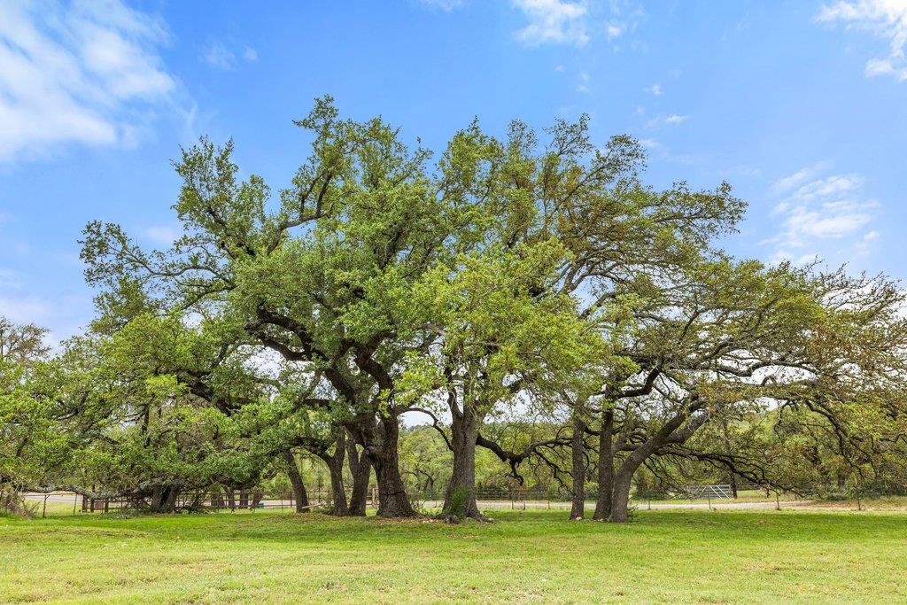 3657 Ranch Road 3232 None, Johnson City, TX 78636
