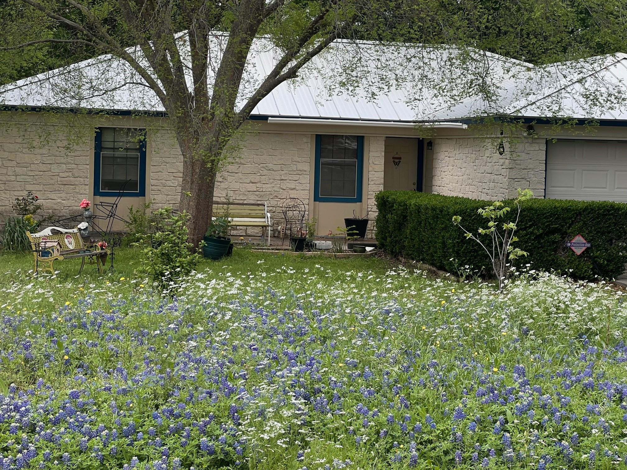 217 GREEN PASTURE Dr, Hutto