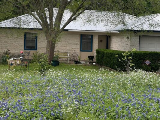 217 GREEN PASTURE Dr, Hutto