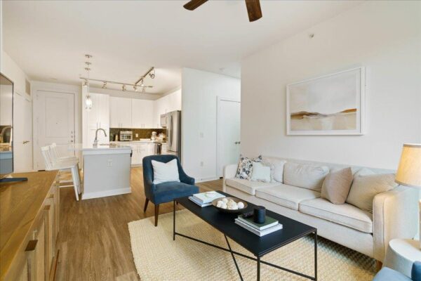 1900 Barton Springs Rd #4029, Austin