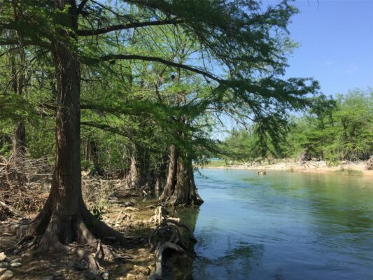 172 Bluff Trl, Dripping Springs