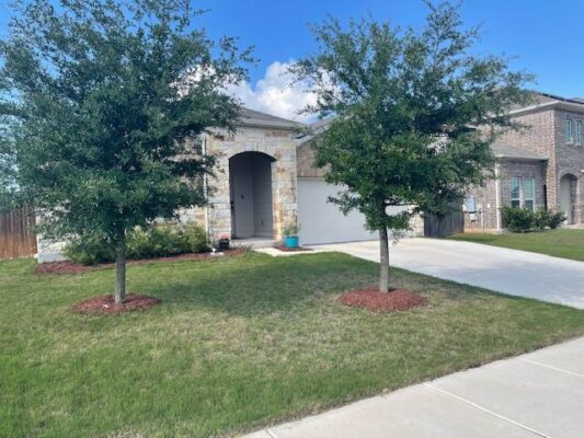 317 Colthorpe Ln, Hutto