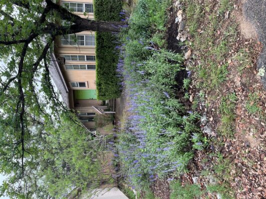 16 E Villa Meadow St, Wimberley