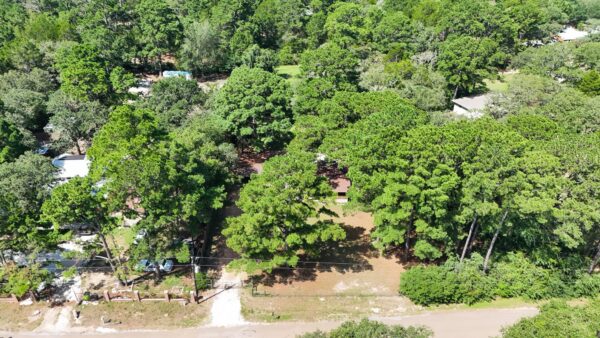 111 Old Piney Trl, Paige