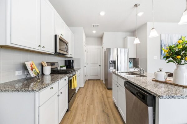 17205 Leafroller Dr #B, Pflugerville