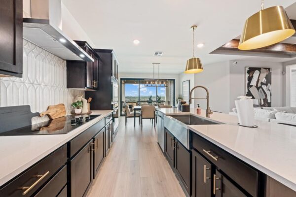 133 Horseherb Way, San Marcos